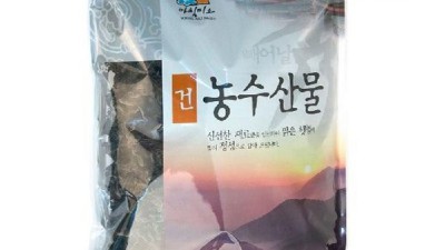 🍄 내 손으로 키우는 신선한 목이버섯 키우기 키트! 할인 찬스 놓치지 마세요!