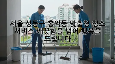서울 성동구 홍익동 맞춤형 청소 서비스: 깨끗함을 넘어, 행복을 드립니다.