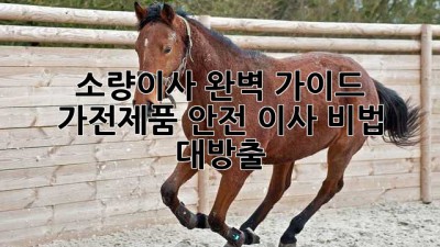📦 소량이사 완벽 가이드: 가전제품 안전 이사 비법 대방출! 🚚